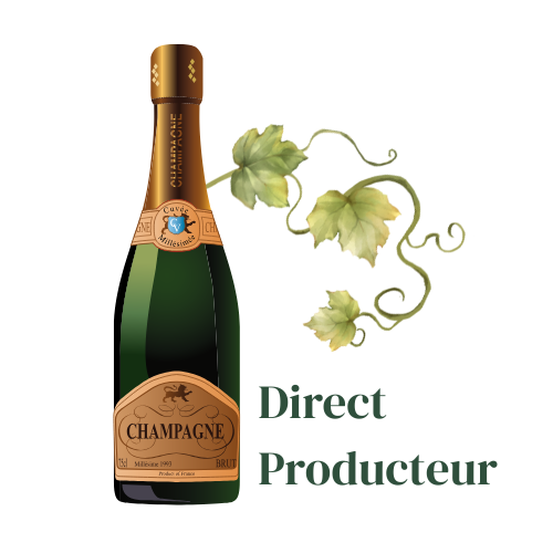 vinichampes